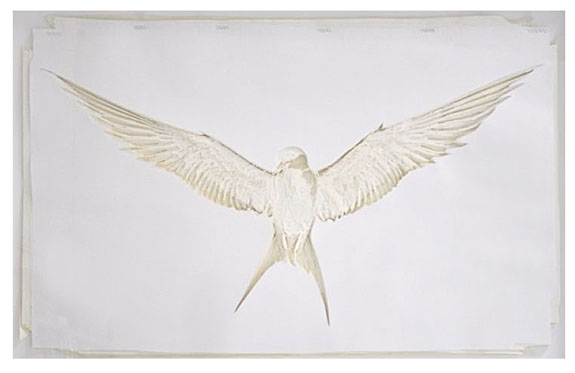 adam-feibelman-arctic-tern-2017-hand-cut-paper-assemblage-45-x-65-inches0a